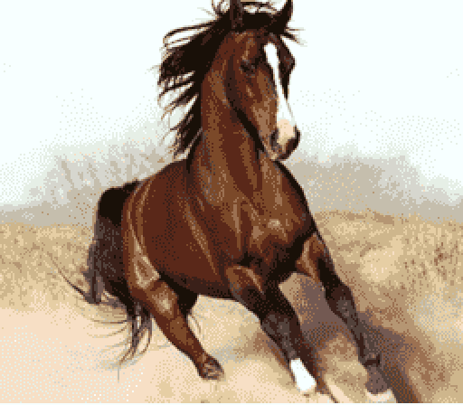 HORSE